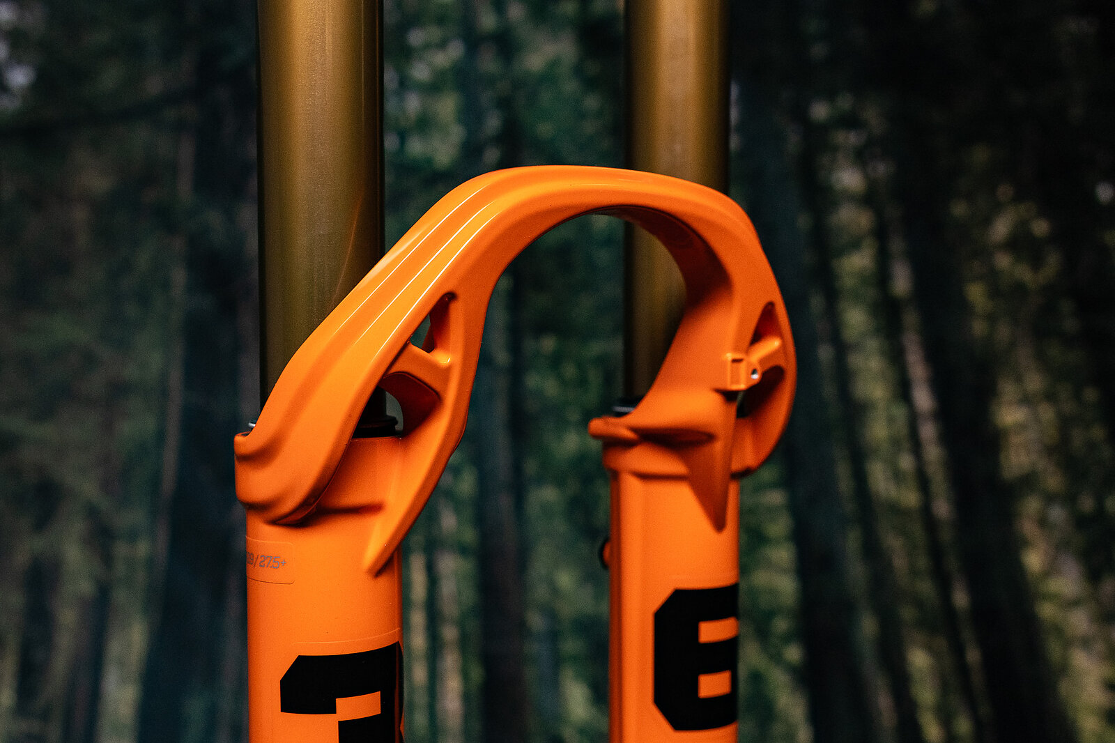Fork Review | Fox 36 Factory GRIP X2 | Freehub Magazine